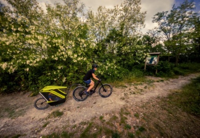 carrello bici bimbo con mamma nel bosco